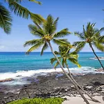 Kona Nalu 305