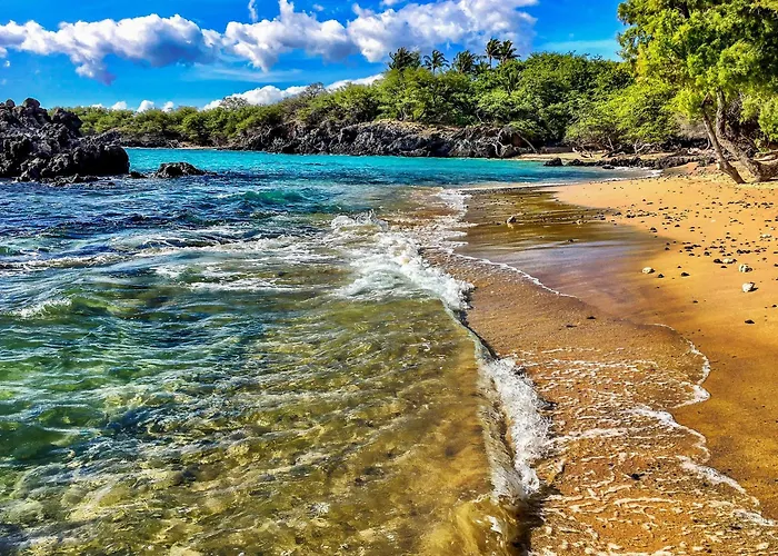 Kona Bali Kai #174