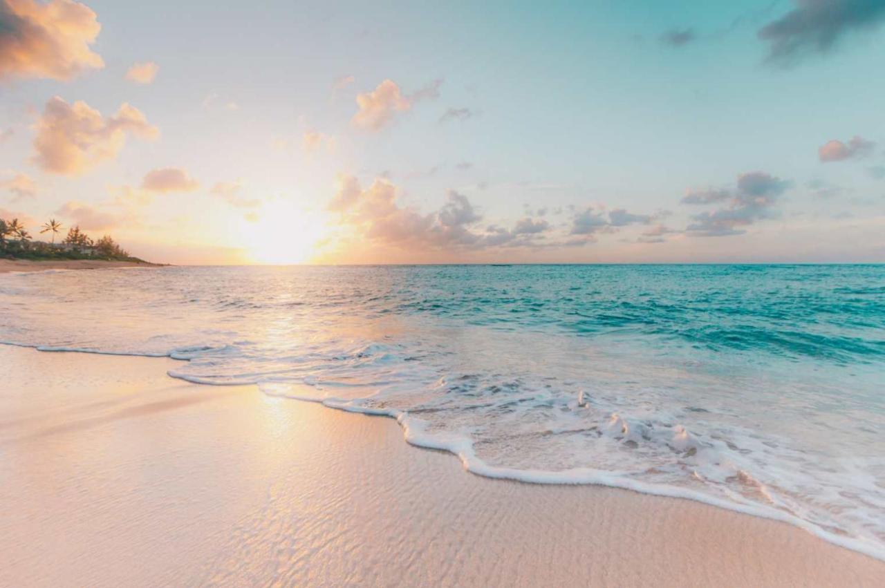 Enjoy The Sunset At Ocean Front 1br - Pool On Site!