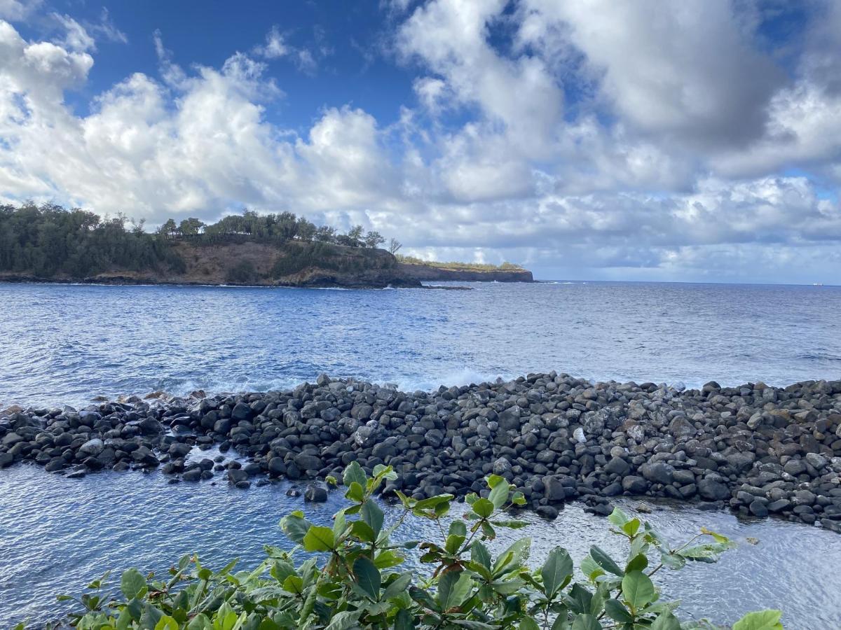 Apartment Garden View - Kona Islander *
