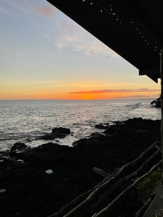 Oceanfront Delight