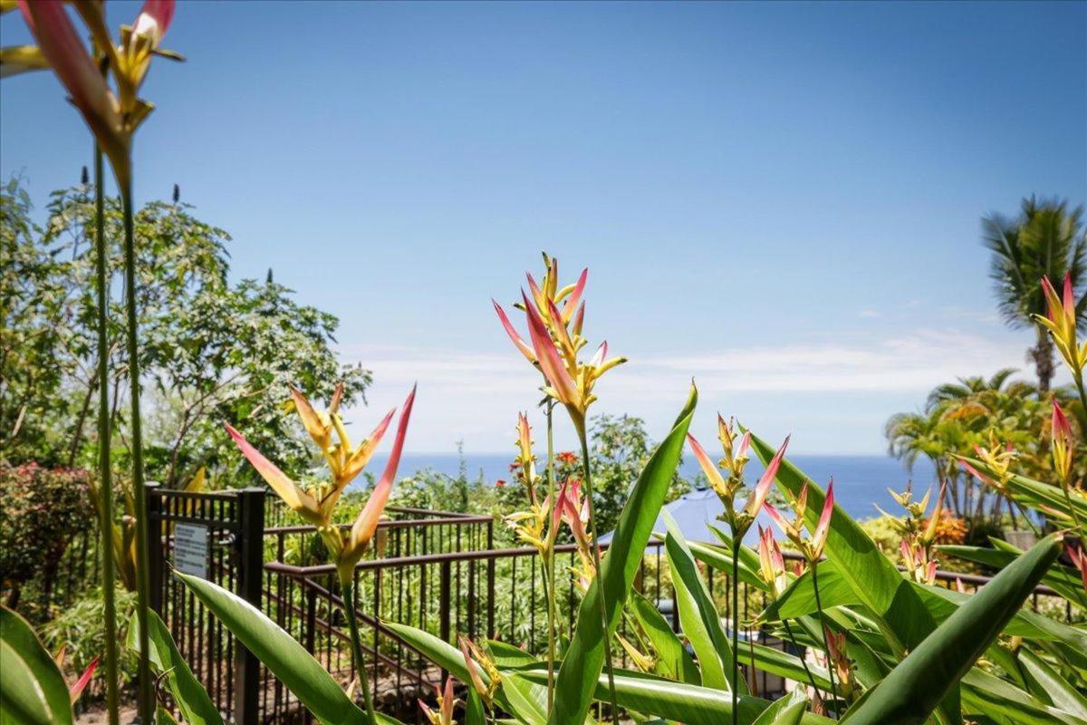 Holiday home Kona Westwind 1 New! Quiet Ocean-view 1st Floor | Patio | Pool