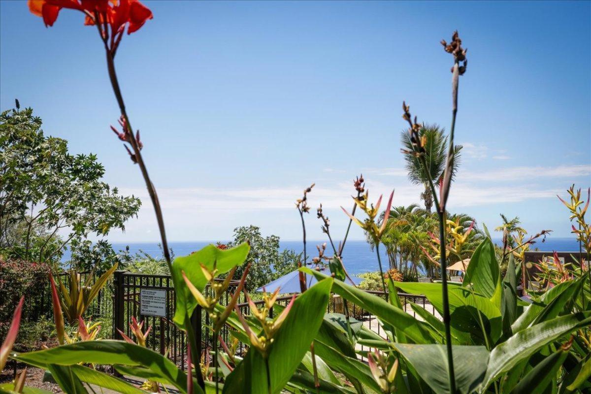 Kona Westwind 1 New! Quiet Ocean-view 1st Floor | Patio | Pool Holiday home *