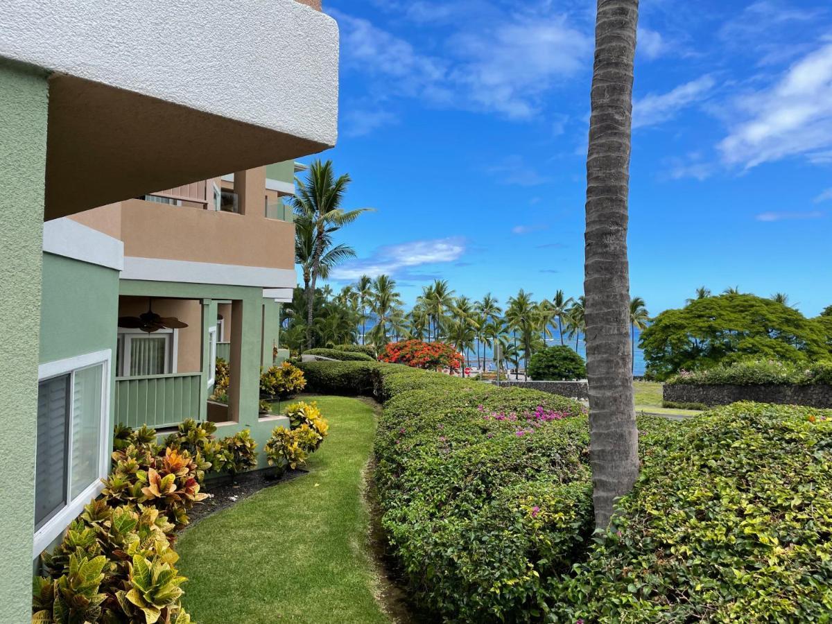 At Kahalu'u * Kailua-Kona