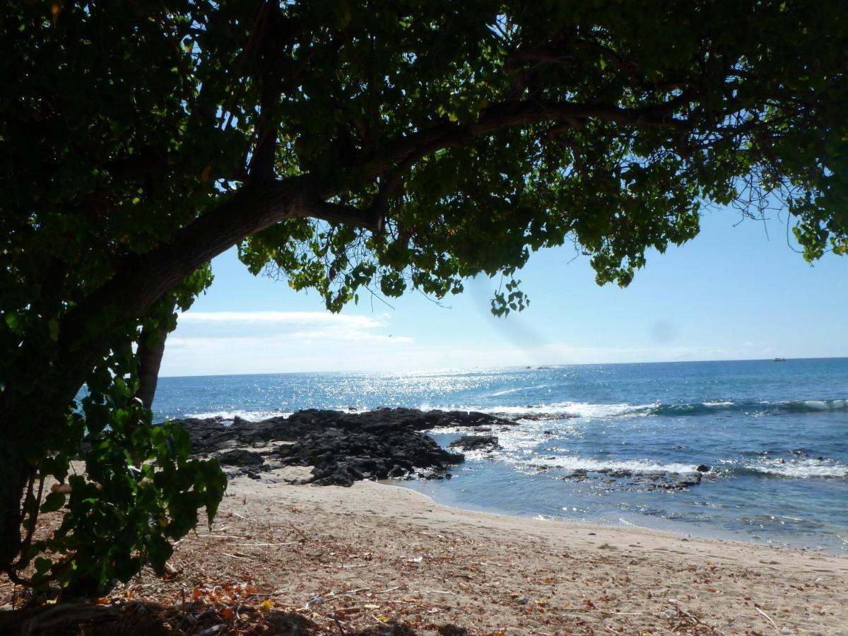 Downtown Hawaiian Paradise With Hot Tub, Pool & - Kona Islander * Kailua-Kona