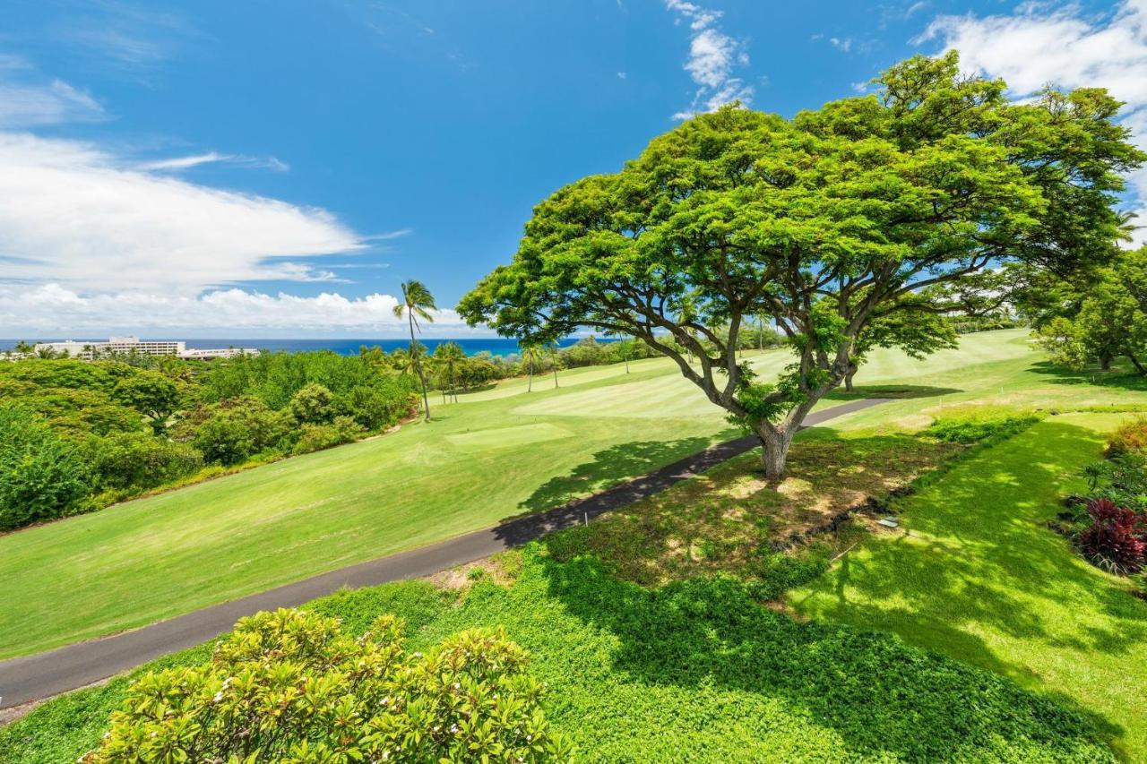 Apartment Big Island Keauhou Akahi #311