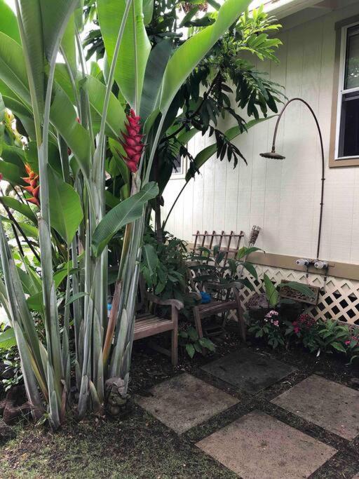 Holiday home Hale Akala Lovely Ocean View