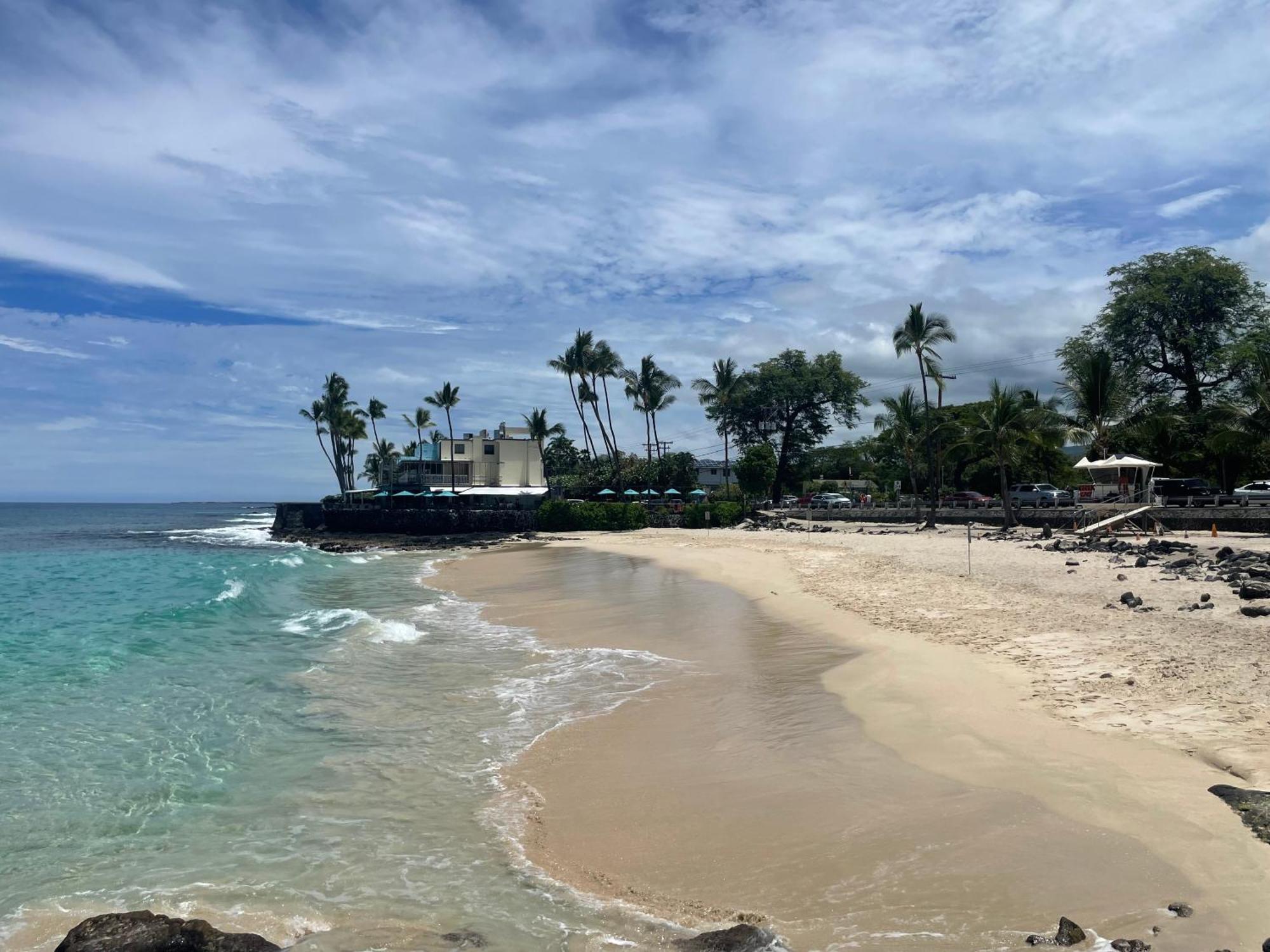 Kona 1br On Alii Dr Saltwater Pool Surf Sun Ac Close To Magic Sands *