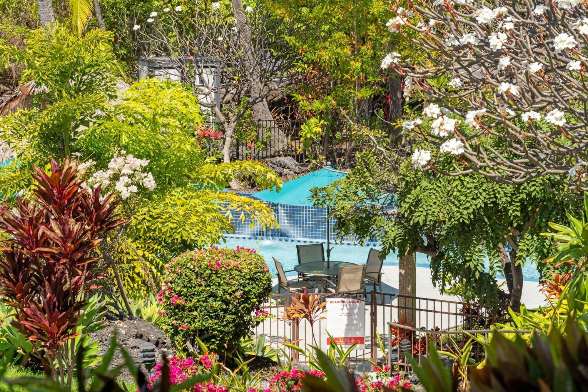 Apartment Big Island Keauhou 125