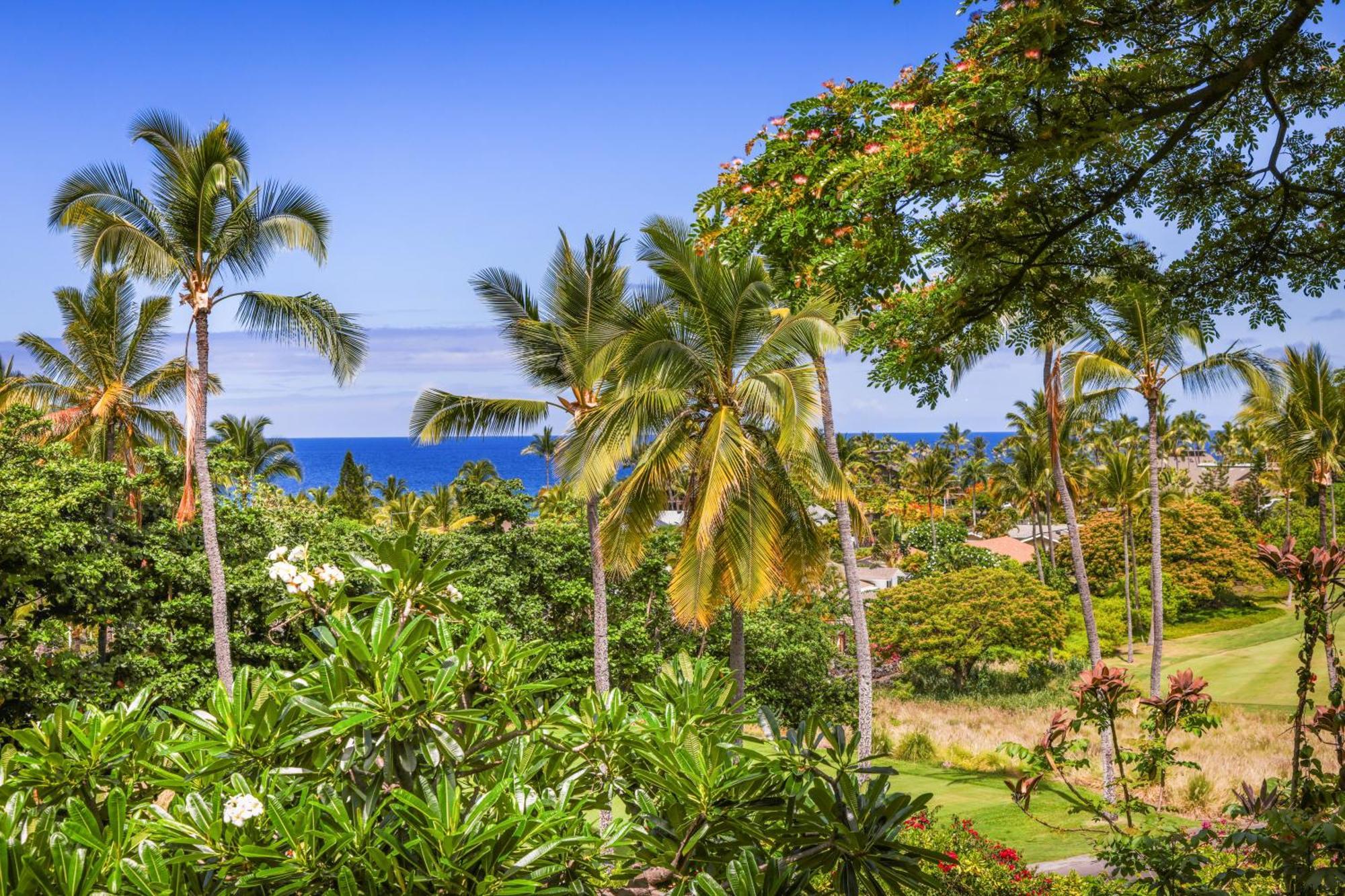 Keauhou - Entire Ocean & Sunset View Condo, 2 Lanais, Ac Apartment