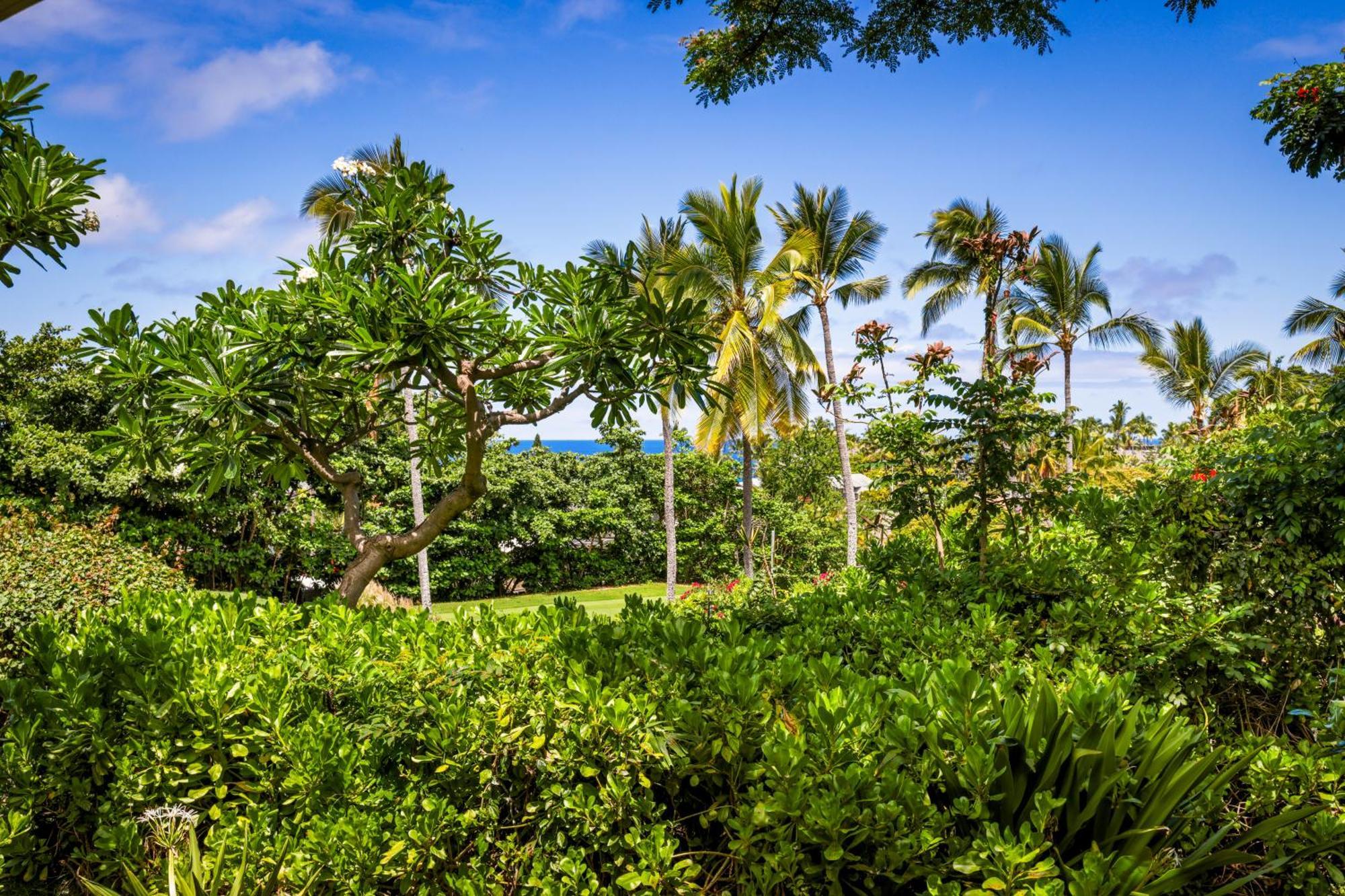 Apartment Keauhou - Entire Ocean & Sunset View Condo, 2 Lanais, Ac