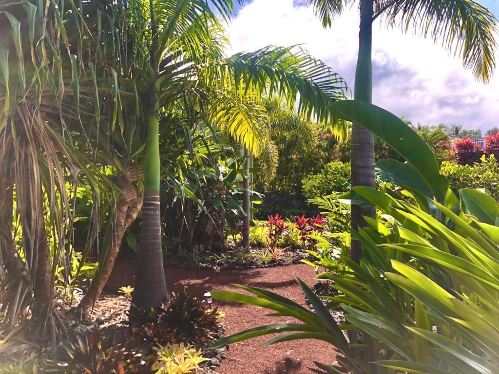 Guest house Oceanview Modern Cozy 3 Bed House *