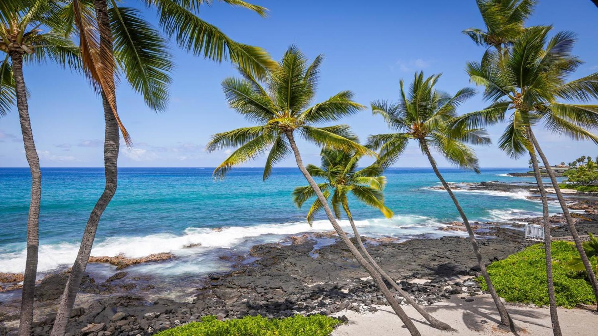 Kona Nalu 305 Apartment Kailua-Kona