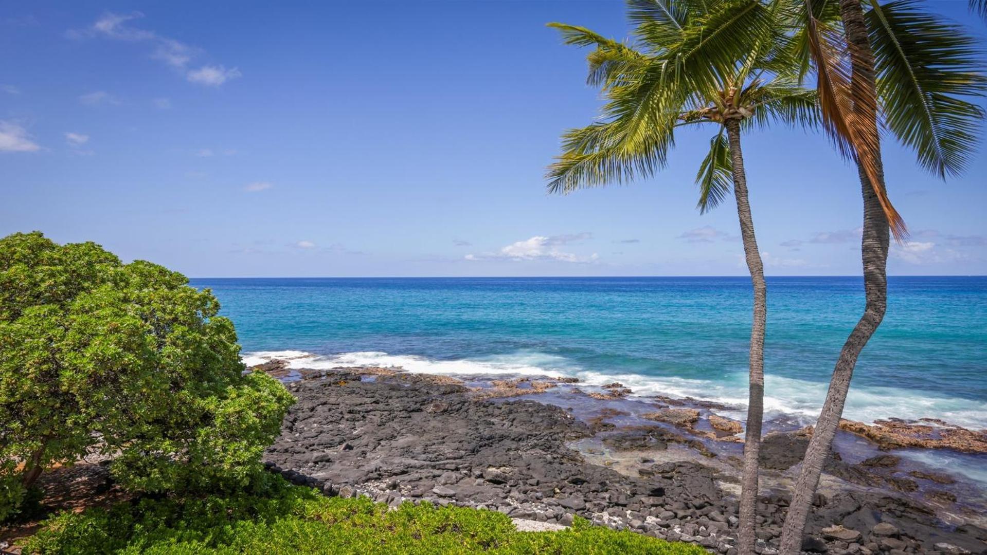 Kona Nalu 305 Apartment Kailua-Kona