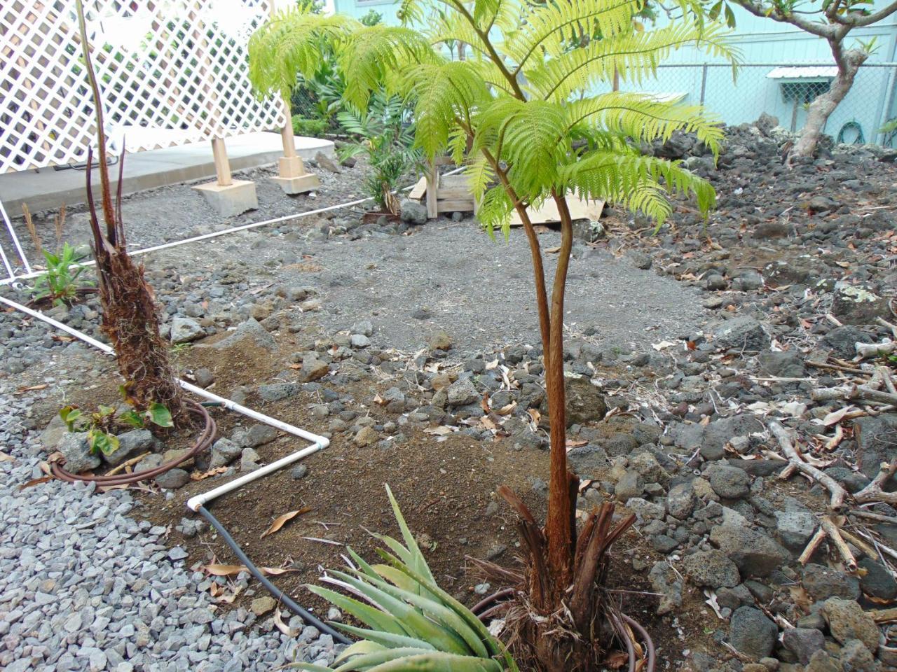 Ohana Hale * Kailua-Kona