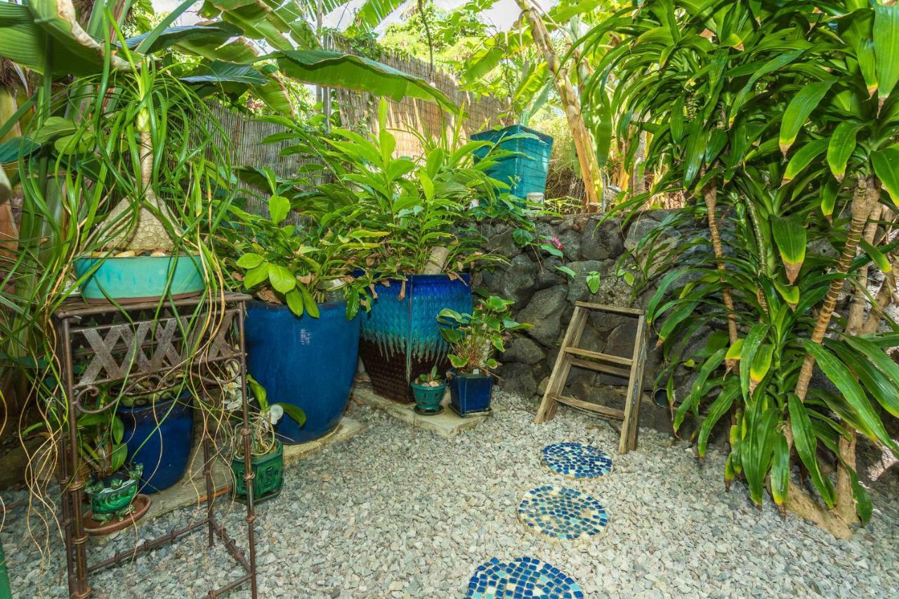 Mango Retreat Kailua-Kona