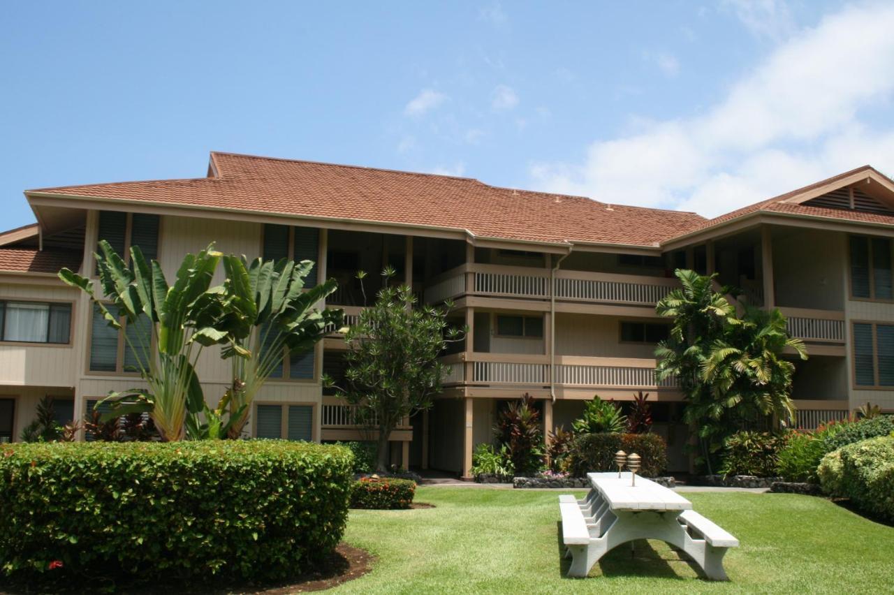 Sea Village 2nd Floor Direct Oceanfront Unit With Extensive Upgrades