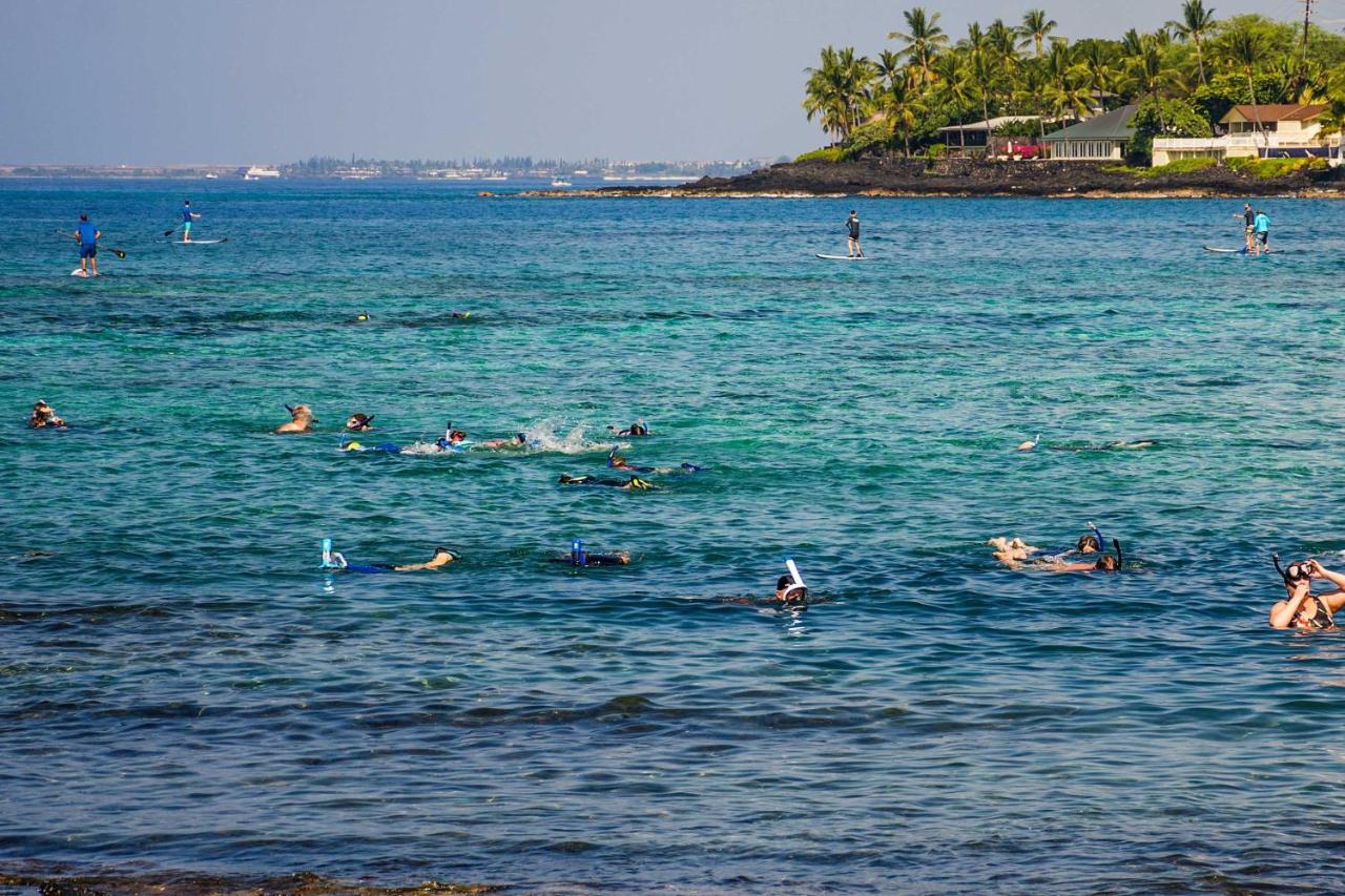 Apartment Downtown Kona With Pool Access Walk To Beach! Kailua-Kona