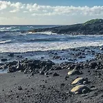Amazing Lagoon & Garden Front Condo With Stunning Ocean Views -Hale Kona Kai 209 By Casago Kona