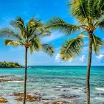 Kona Bali Kai #418