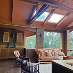 Peaceful Sanctuary In Hawaiian Cloud Forest