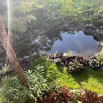 Peaceful Sanctuary In Hawaiian Cloud Forest