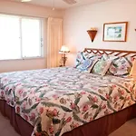 Keauhou Palena 503