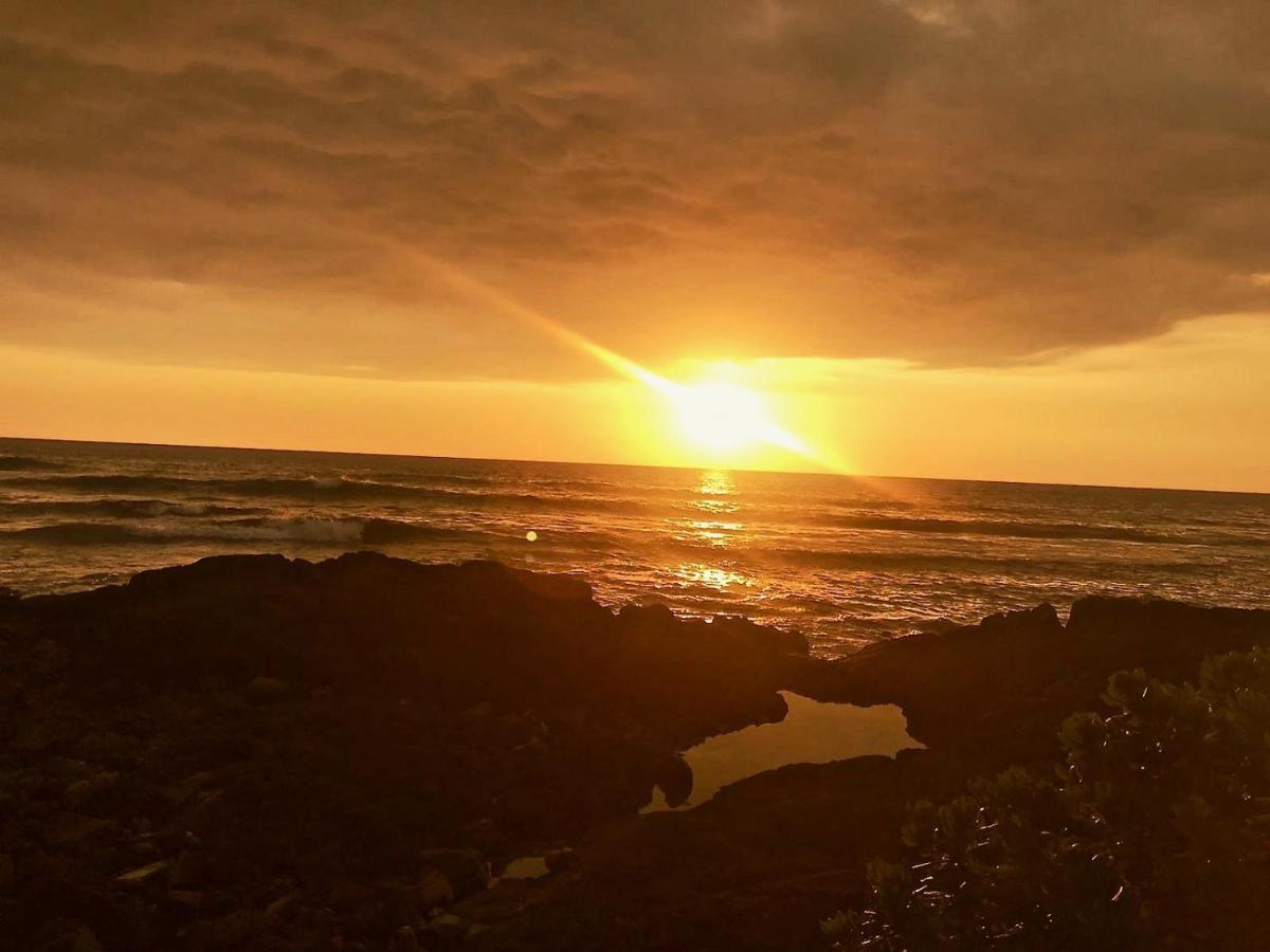 Unwind On Your Fantasy Hawaiian Vacation- 1bd/1ba In Kailua-kona, Hawaii Kailua-Kona
