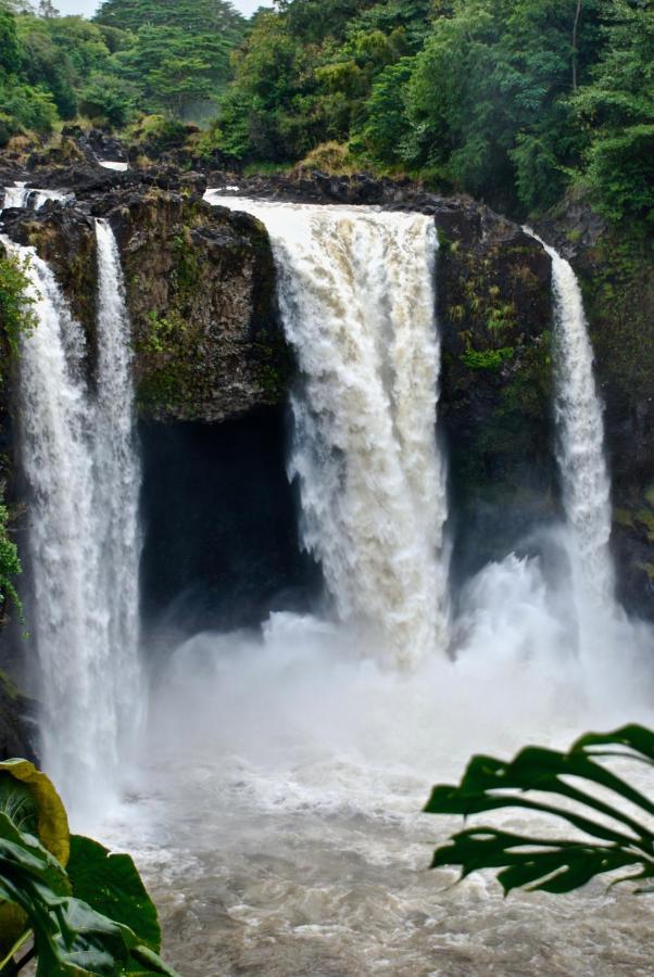 Unwind On Your Fantasy Hawaiian Vacation- 1bd/1ba In Kailua-kona, Hawaii *
