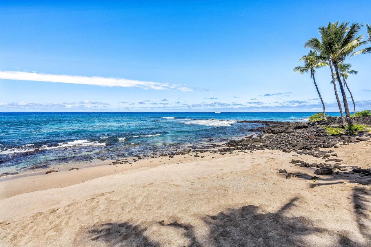 Kona Reef D32 * Kailua-Kona