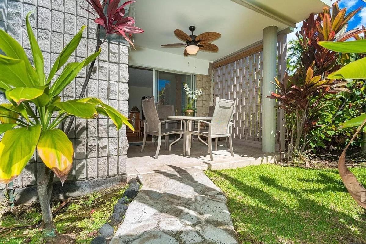 Enjoy The Sunset At Ocean Front 1br - Pool On Site! Apartment