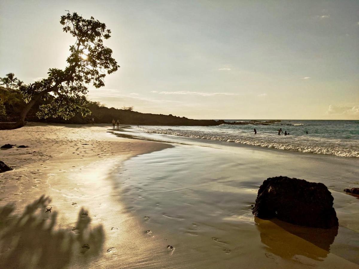 Apartment Unwind On Your Fantasy Hawaiian Vacation- 1bd/1ba In Kailua-kona, Hawaii *