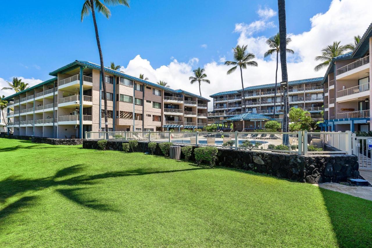 Kona Reef D32 *