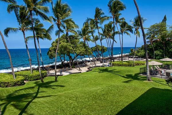 Kona Isle E23 *