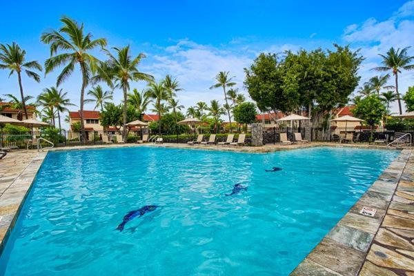 Keauhou Kona Surf & Racquet Club#5-104 Apartment