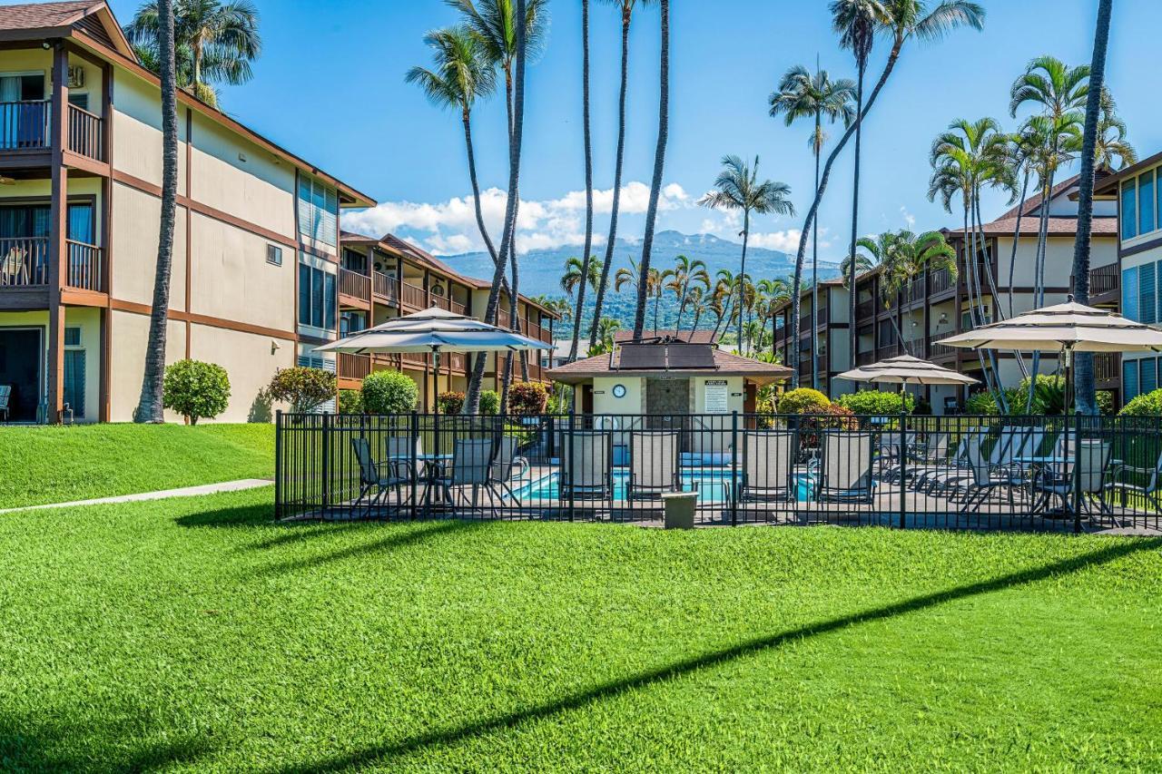 Kona Isle B31 *