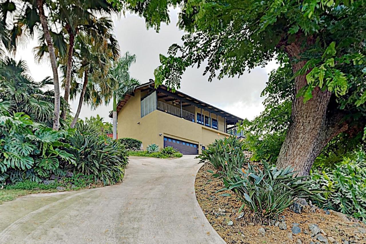 Walua Oasis
