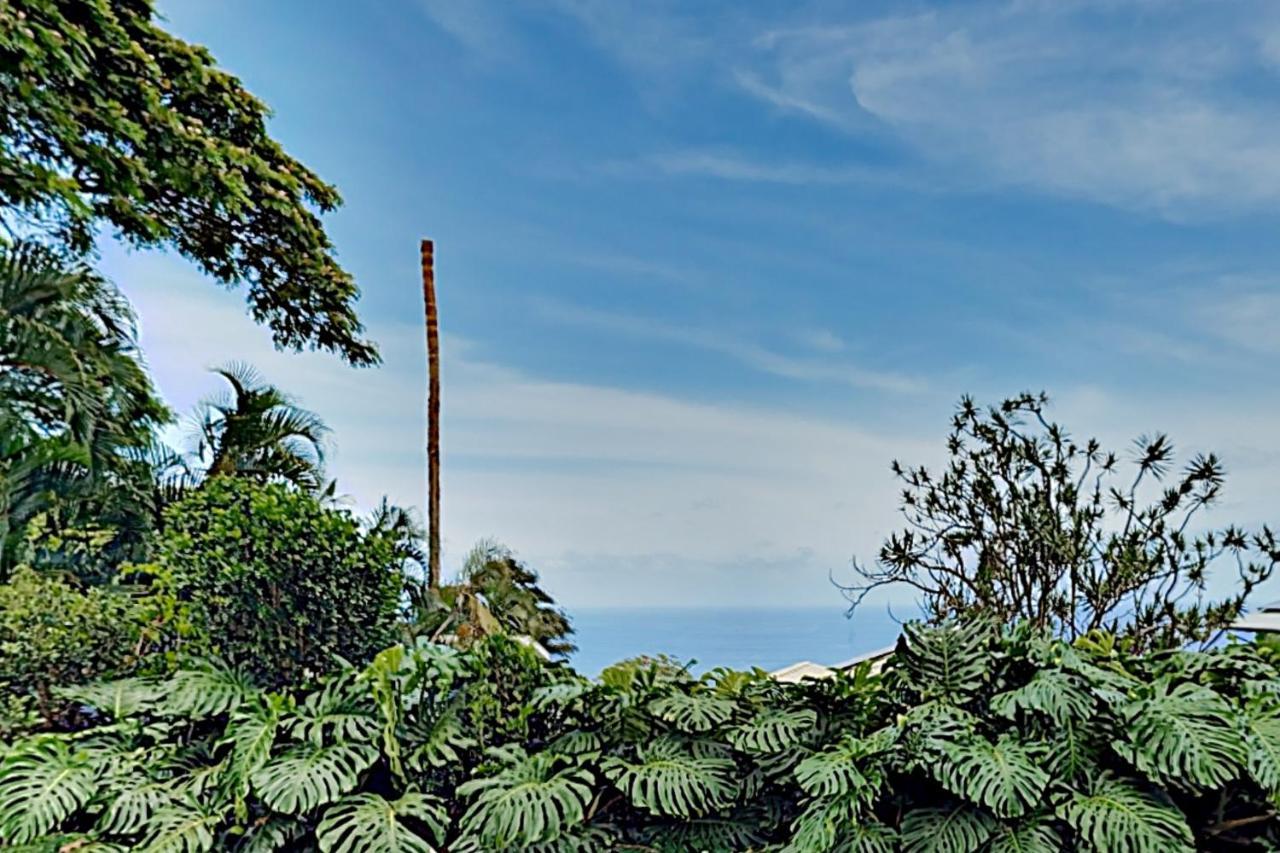 Walua Oasis