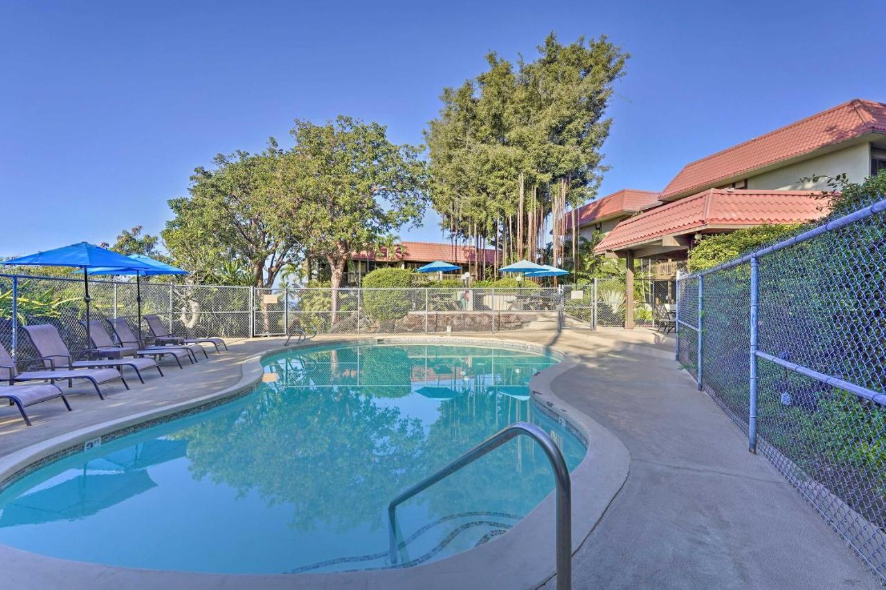 Airy Less Than 1 Mi To And Town Apartment