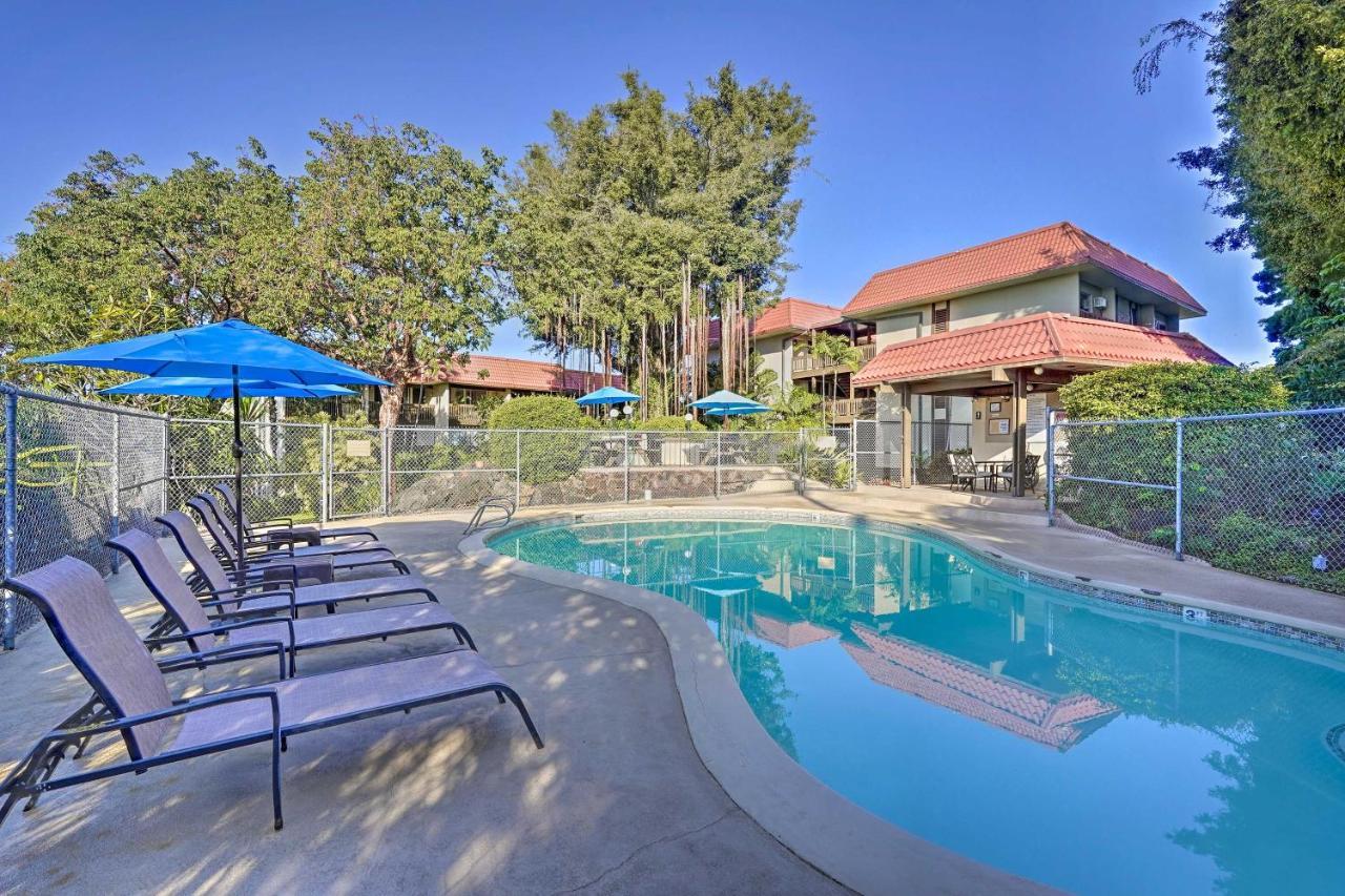 Airy Less Than 1 Mi To And Town Apartment