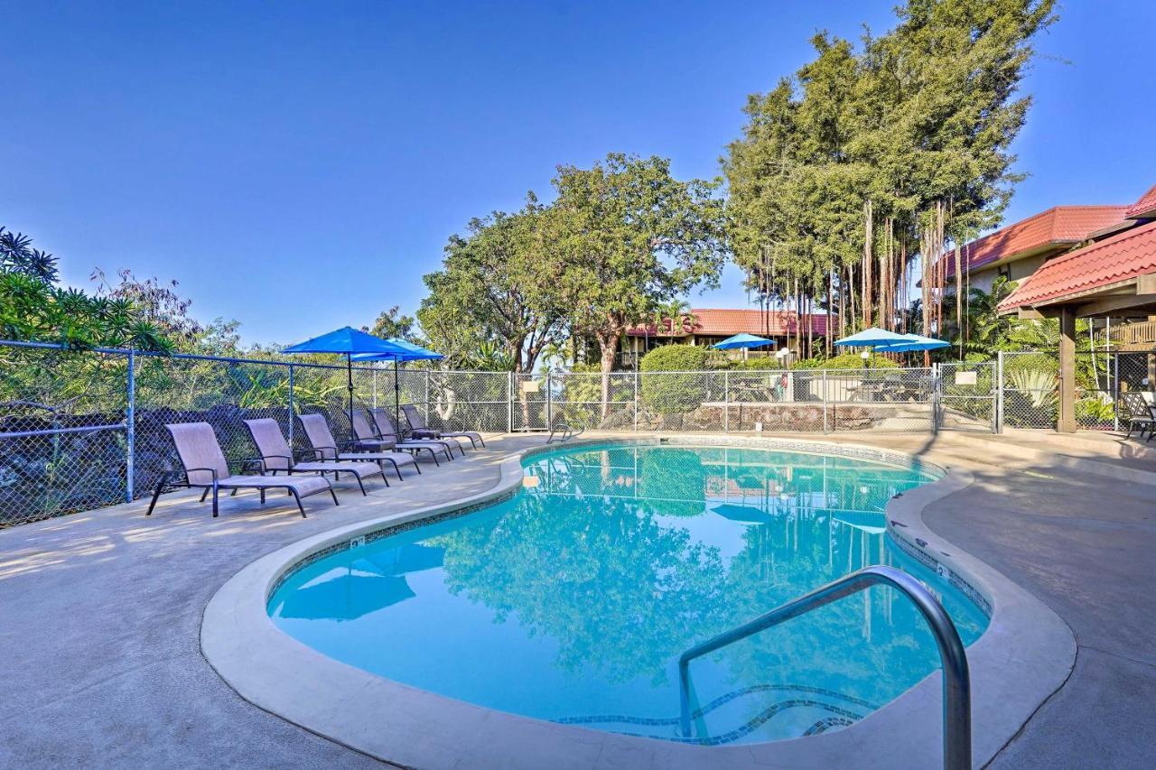 Airy Less Than 1 Mi To And Town Apartment *