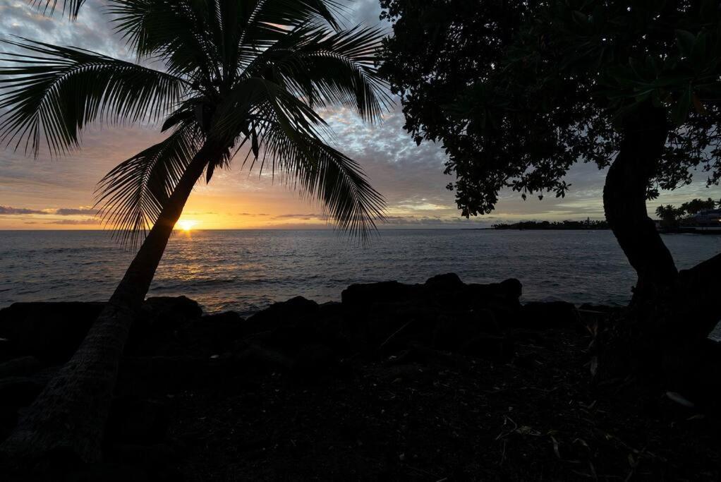 Oceanfront With Lanai That Almost Hangs Over Ocean - Hale Kona Kai 304 By Casago Kona *