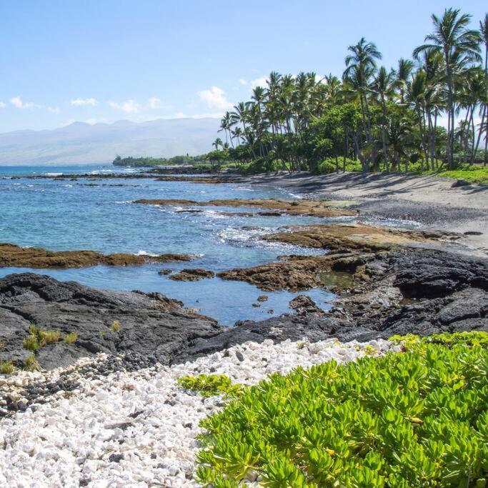 Beautiful Oceanfront Welcomes At Hale Kona Kai 203 By Casago Kona * Kailua-Kona