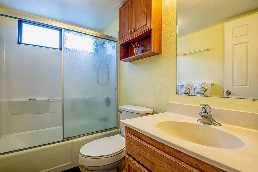 Great Value! & Ocean View Condo! - Kona Reef B-21 At Park & Next To Road Kailua-Kona