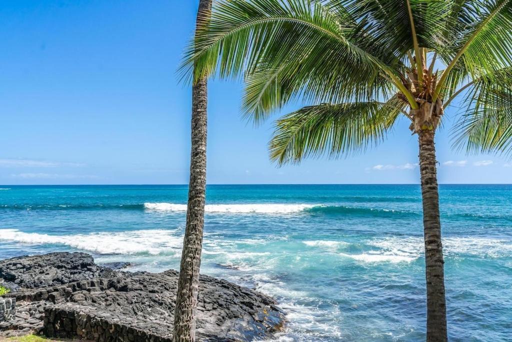 New Hawaii Oceanfront 2br/2br With White Beach-kona Bali Kai 206 *
