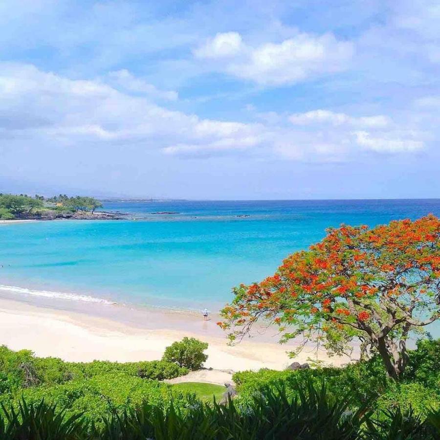 Apartment Family Friendly Bay View Ac Free Parking Walk To Village Kailua-Kona
