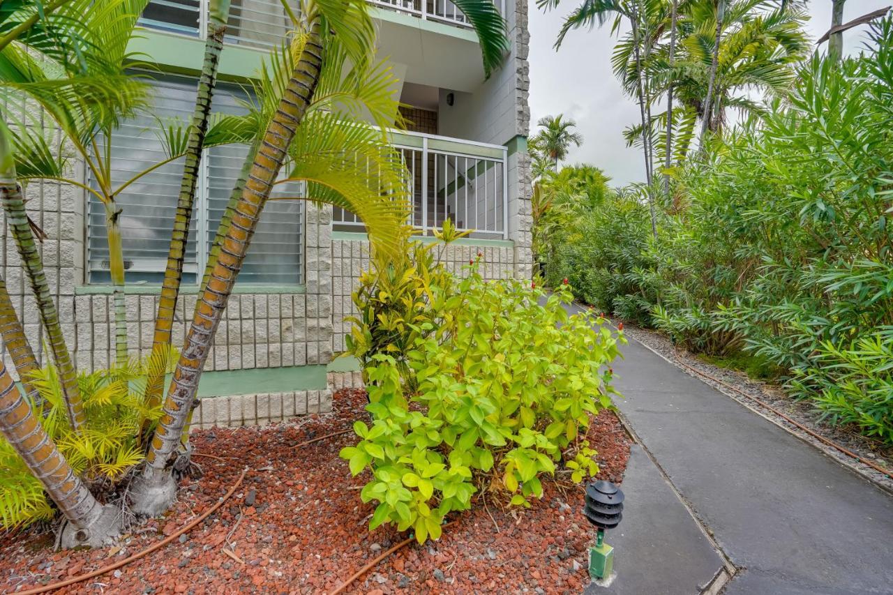 Apartment With Ocean Views Walk To Beach! *