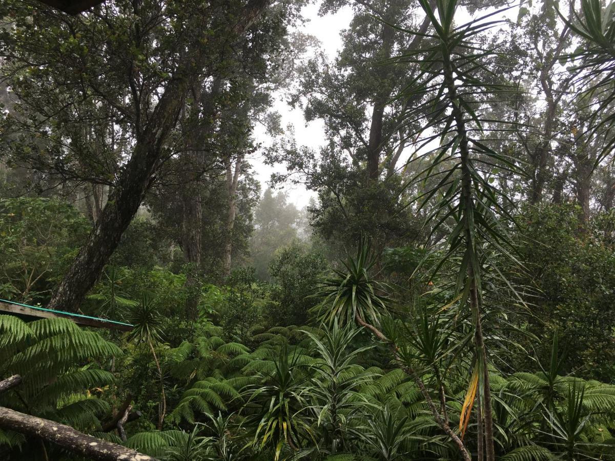 Peaceful Sanctuary In Hawaiian Cloud Forest Kailua-Kona