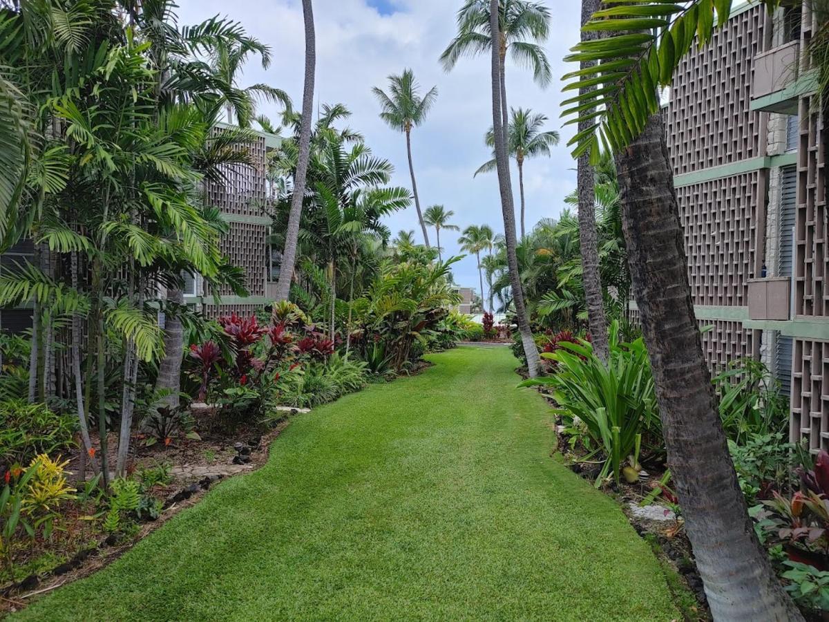 Alii Cozy 1br Unit Near Dt Apartment *