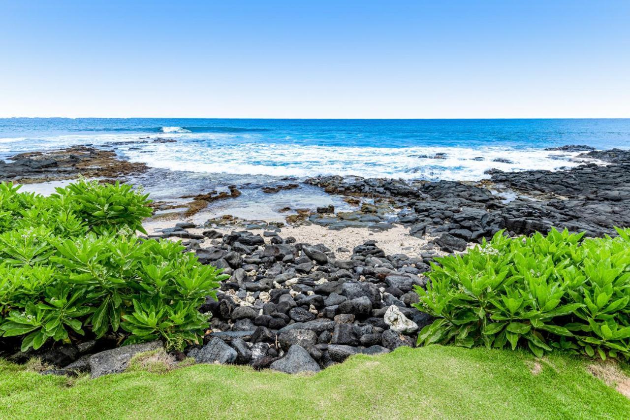 Apartment Kona Reef Comfort D6 *